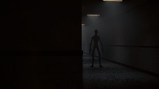 Floor404