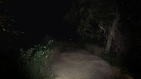 Đồng Cỏ Lau - The Reed Field