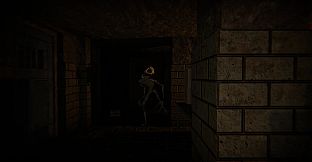 The Designer's Curse