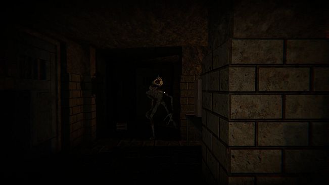 The Designer's Curse