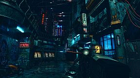 The INDIGO Initiative