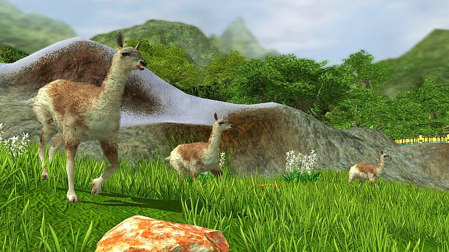 Wildlife Park 3 - Amazonas