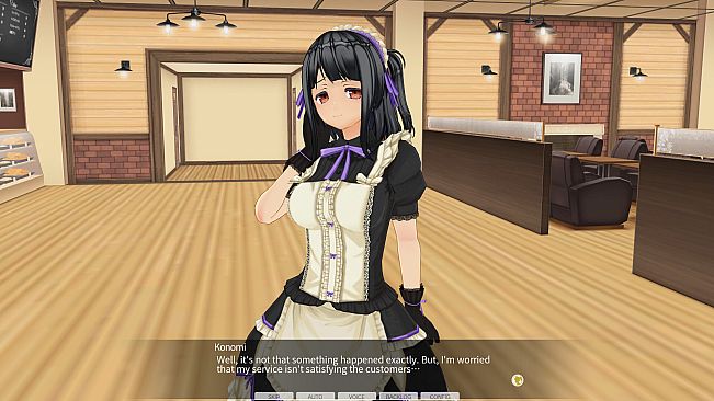 CUSTOM ORDER MAID 3D2&2.5 + V02