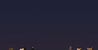 Taskbar Cat Club - Founders' Cats