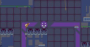 Jump Kiwi