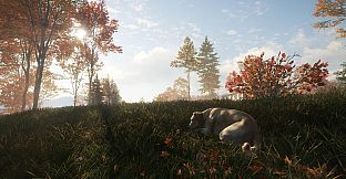 theHunter: Call of the Wild - Labrador Retriever - Windows 10