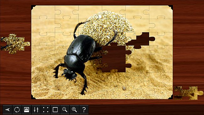 Jigsaw Puzzle World - Insects
