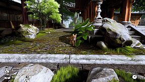 LITTLE CAT TINY STRAYS