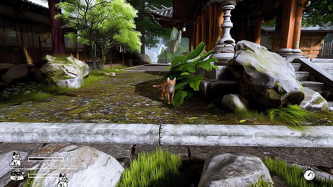 LITTLE CAT TINY STRAYS