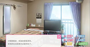 DOTOKOI / 像素男友