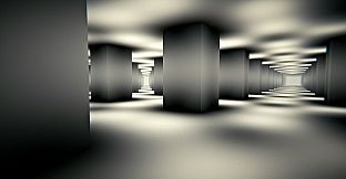 Observation Protocol: The Observed