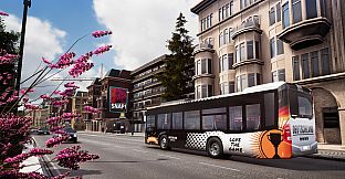 Bus Simulator 18 - Country Skin & Decal Pack