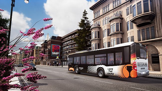 Bus Simulator 18 - Country Skin & Decal Pack