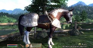 The Elder Scrolls IV: Oblivion Game of the Year Edition Deluxe (2009)