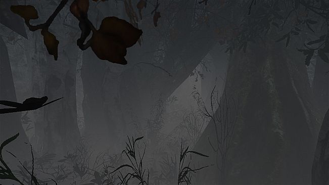 maze to the old castle