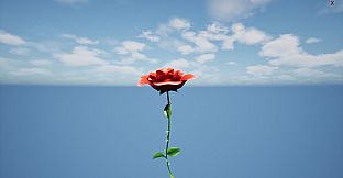 a Flower for you