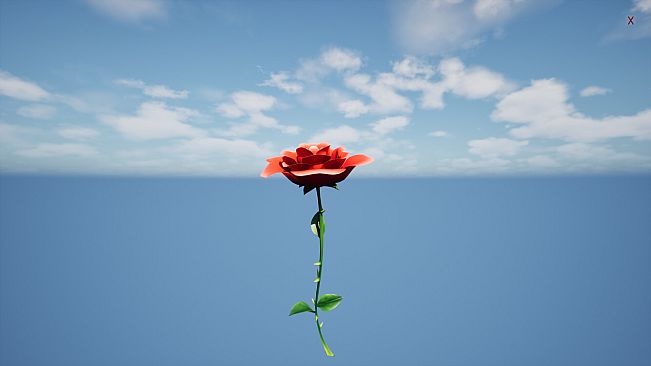 a Flower for you