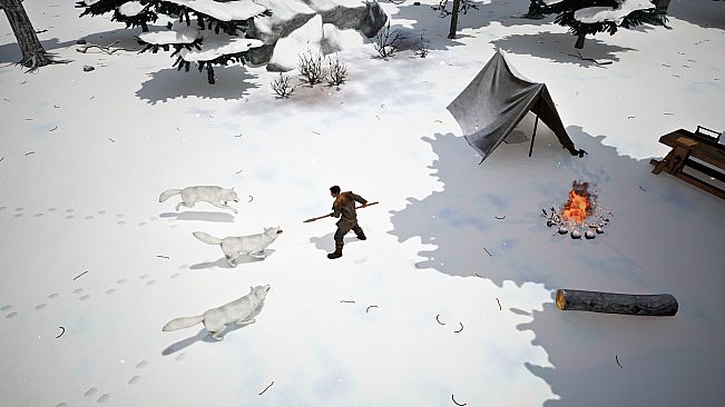 Frozen Echo