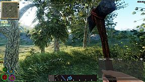 Your Journey of Survival