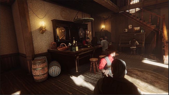 Western City Renovator