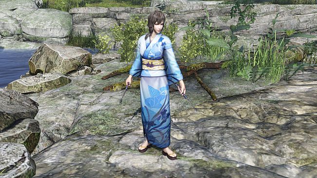 WARRIORS OROCHI 4/無双OROCHI３- Bonus Costume for Wang Yi