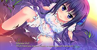 Trajectory of summer flower