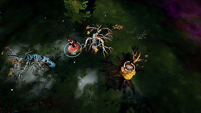 Spellsworn - Collector's Edition