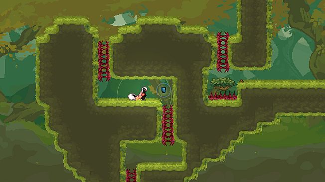 The Friendliest Skunk