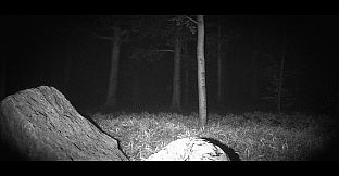 The Colossus Is Coming: The Interactive Experience