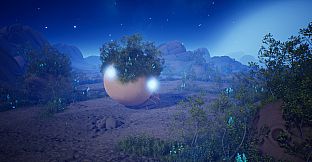 Lifecycles of the Traveler Spider