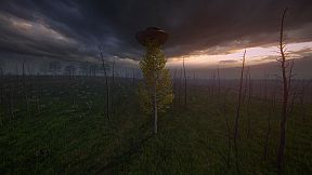 Birch Simulator