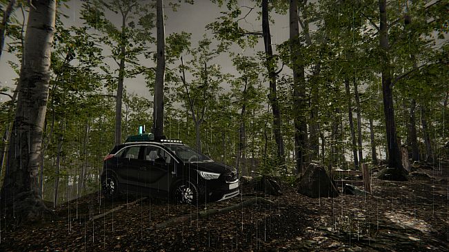 Camping Vlog Simulator 2024