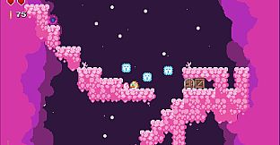 Super Crazy Chickens