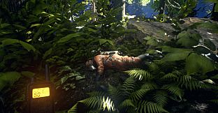 Asemblance: Oversight