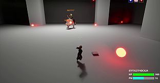 Reflection Arena