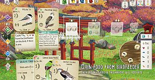 European + Oceania + Asia + Decorative Packs