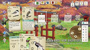 Birds and Cats Special Edition