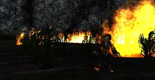 EverQuest: Call of the Forsaken