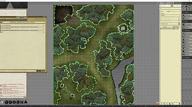 Fantasy Grounds - Pathfinder RPG - Pathfinder Flip-Mat - Classic Woodlands