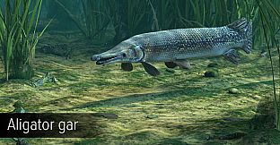 Ultimate Fishing Simulator - Amazon River DLC