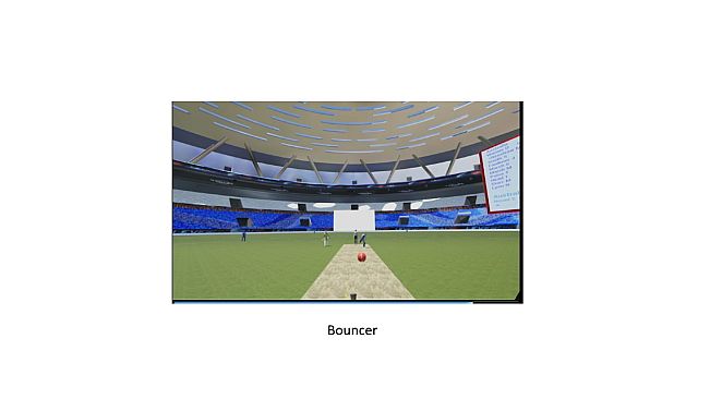VR Cricket