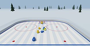 Bird Hockey League