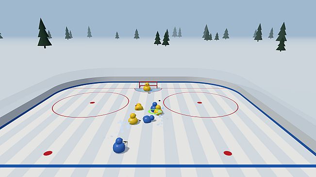 Bird Hockey League