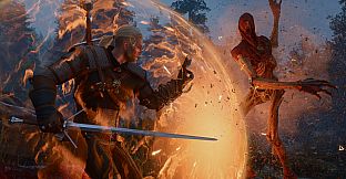 The Witcher 3: Wild Hunt — Songs of the Past