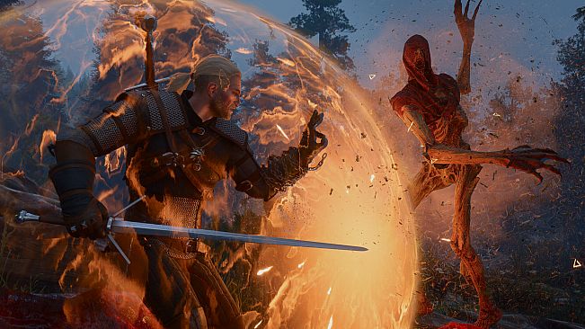 The Witcher 3: Wild Hunt — Songs of the Past