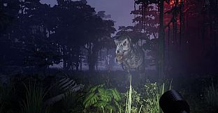 6600：The Park