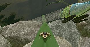 A little Jumpingspider's Garden Adventure (Day 1+2)