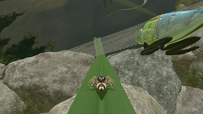 A little Jumpingspider's Garden Adventure (Day 1+2)