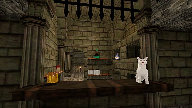 Dungeon Bodega Simulator