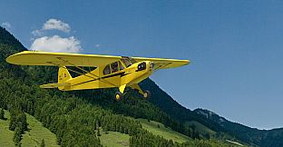 RealFlight Evolution - 2025 Year Content Pass